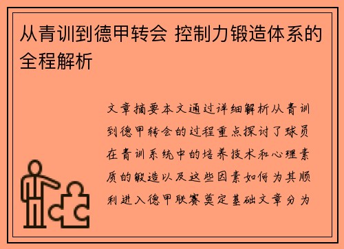 从青训到德甲转会 控制力锻造体系的全程解析