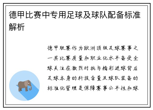 德甲比赛中专用足球及球队配备标准解析